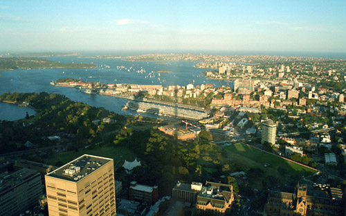 View from Sydney tower